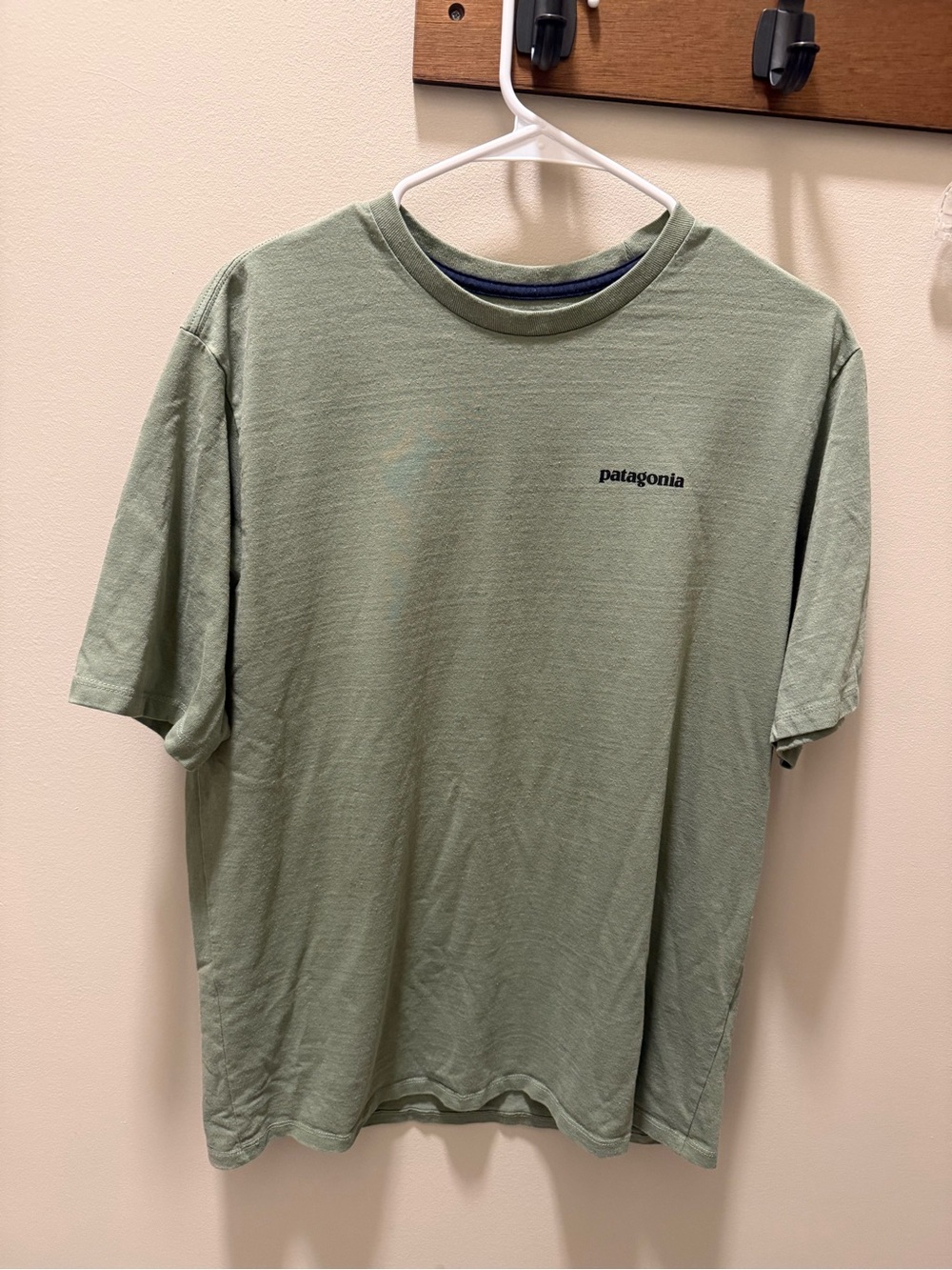 Patagonia Men's Short Sleeve Tee in Sage Green with Small Logo